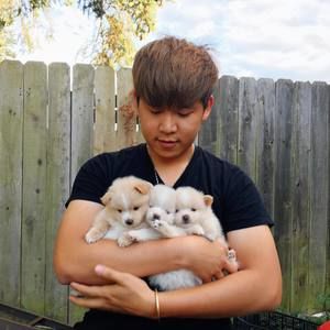 Meet your Posher, Tri